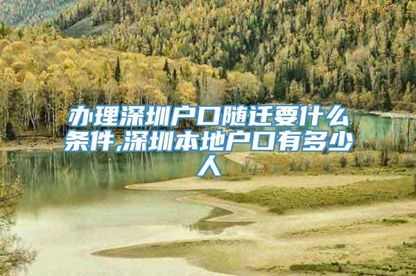 办理深圳户口随迁要什么条件,深圳本地户口有多少人