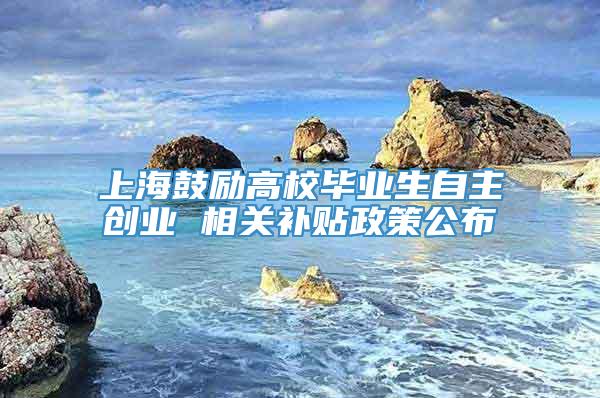 上海鼓励高校毕业生自主创业 相关补贴政策公布