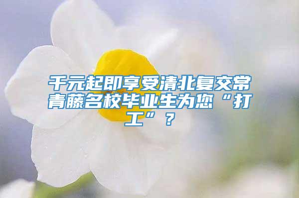 千元起即享受清北复交常青藤名校毕业生为您“打工”？