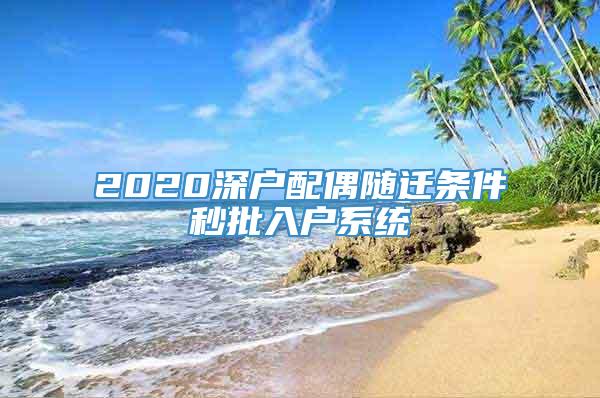 2020深户配偶随迁条件秒批入户系统