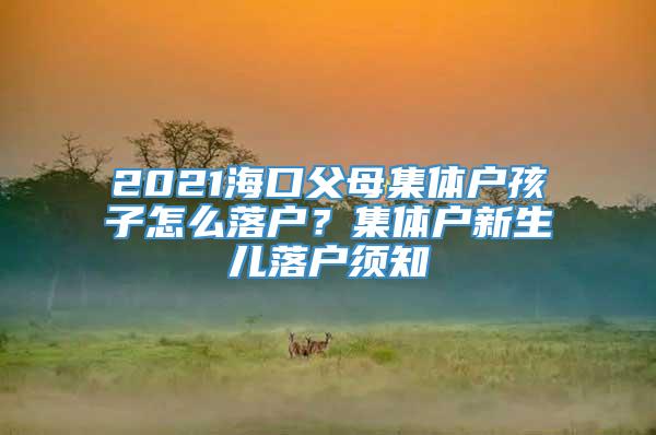 2021海口父母集体户孩子怎么落户？集体户新生儿落户须知