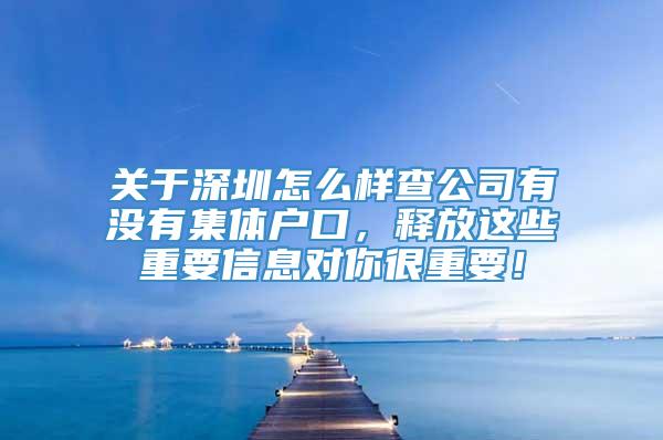 关于深圳怎么样查公司有没有集体户口，释放这些重要信息对你很重要！