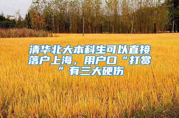 清华北大本科生可以直接落户上海，用户口“打赏”有三大硬伤