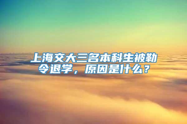 上海交大三名本科生被勒令退学，原因是什么？