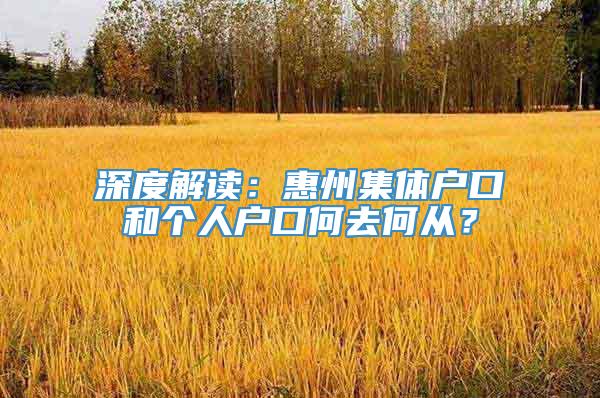 深度解读：惠州集体户口和个人户口何去何从？