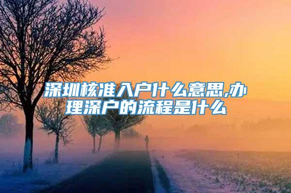 深圳核准入户什么意思,办理深户的流程是什么