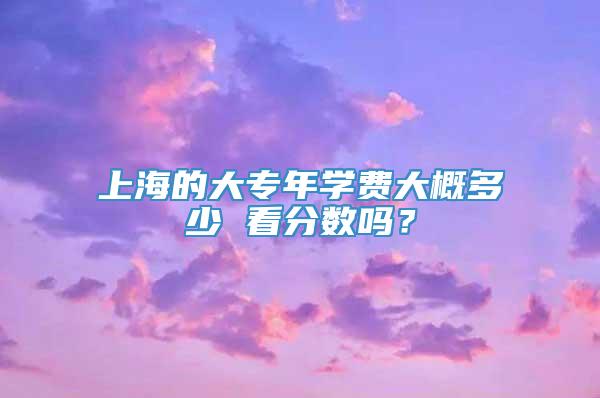 上海的大专年学费大概多少 看分数吗？