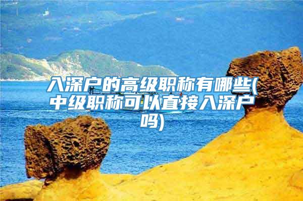 入深户的高级职称有哪些(中级职称可以直接入深户吗)