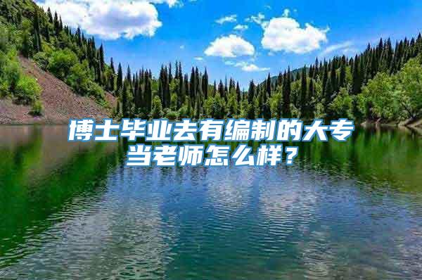 博士毕业去有编制的大专当老师怎么样？