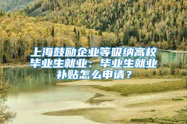 上海鼓励企业等吸纳高校毕业生就业：毕业生就业补贴怎么申请？