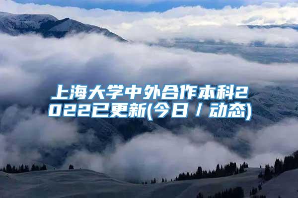 上海大学中外合作本科2022已更新(今日／动态)