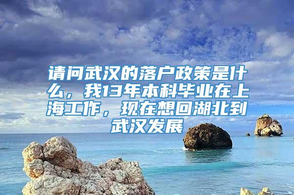 请问武汉的落户政策是什么，我13年本科毕业在上海工作，现在想回湖北到武汉发展