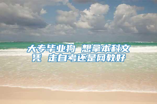 大专毕业狗 想拿本科文凭 走自考还是网教好