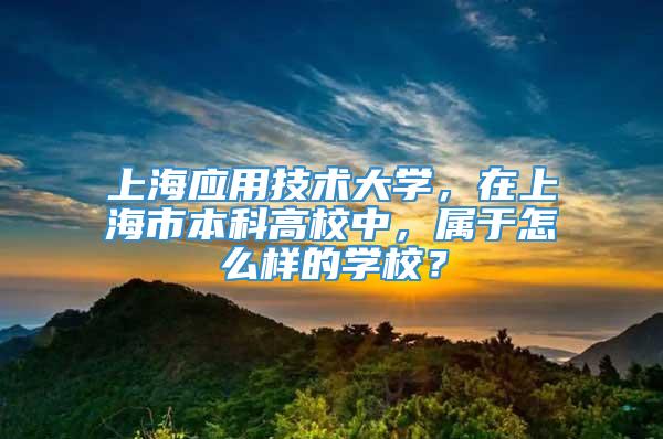 上海应用技术大学，在上海市本科高校中，属于怎么样的学校？