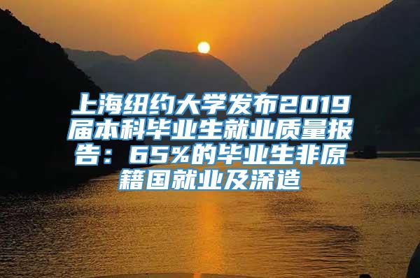 上海纽约大学发布2019届本科毕业生就业质量报告：65%的毕业生非原籍国就业及深造