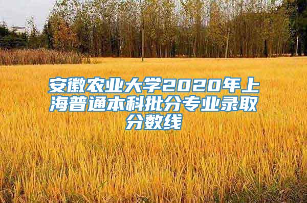 安徽农业大学2020年上海普通本科批分专业录取分数线