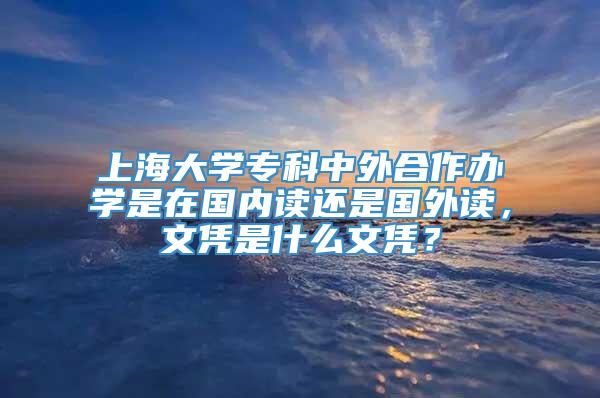 上海大学专科中外合作办学是在国内读还是国外读，文凭是什么文凭？