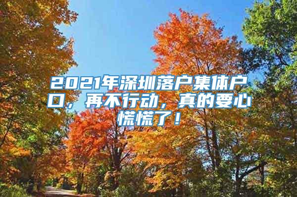 2021年深圳落户集体户口，再不行动，真的要心慌慌了！