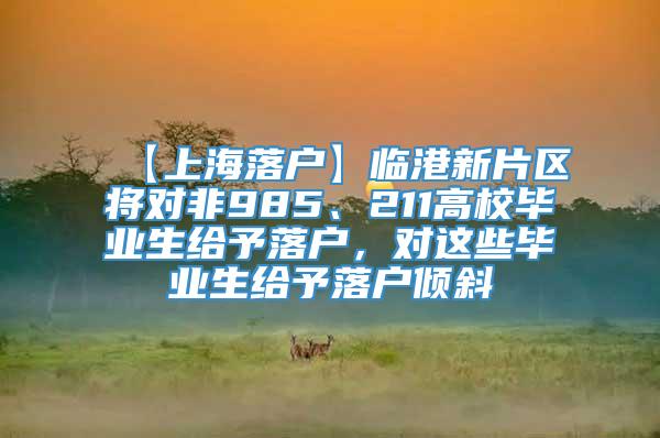 【上海落户】临港新片区将对非985、211高校毕业生给予落户，对这些毕业生给予落户倾斜