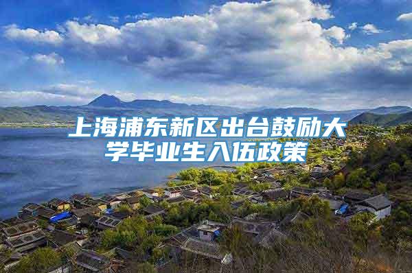 上海浦东新区出台鼓励大学毕业生入伍政策