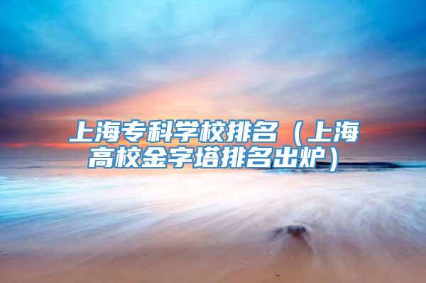 上海专科学校排名（上海高校金字塔排名出炉）