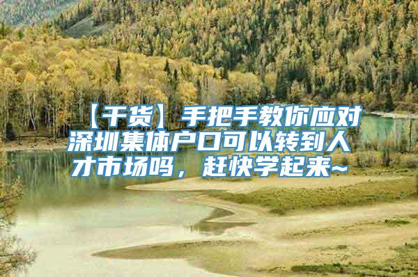 【干货】手把手教你应对深圳集体户口可以转到人才市场吗，赶快学起来~