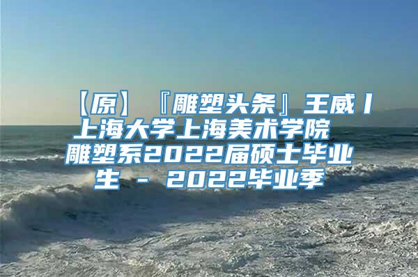 【原】『雕塑头条』王威丨上海大学上海美术学院 雕塑系2022届硕士毕业生 - 2022毕业季