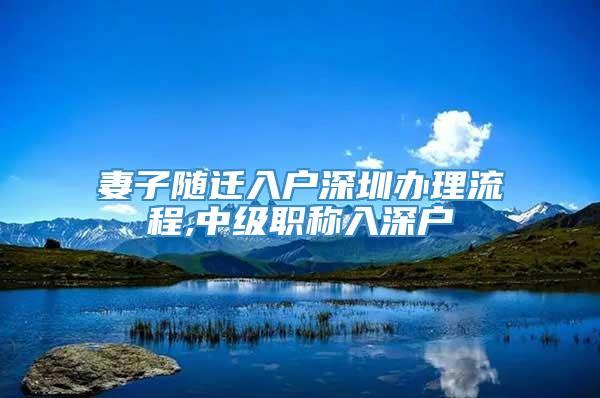 妻子随迁入户深圳办理流程,中级职称入深户