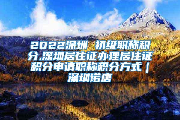 2022深圳 初级职称积分,深圳居住证办理居住证积分申请职称积分方式｜深圳诺唐