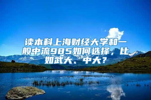 读本科上海财经大学和一般中流985如何选择，比如武大、中大？