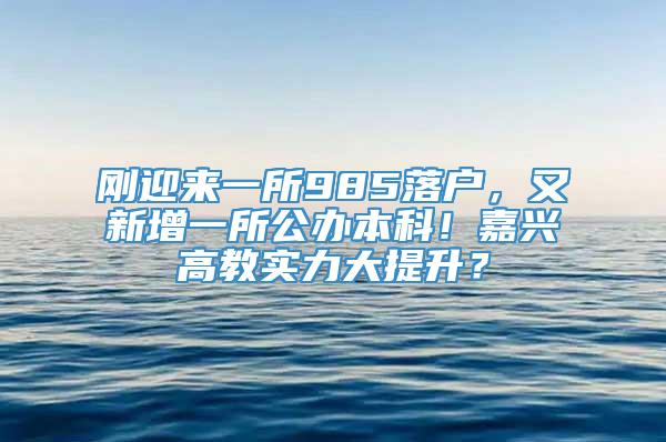 刚迎来一所985落户，又新增一所公办本科！嘉兴高教实力大提升？