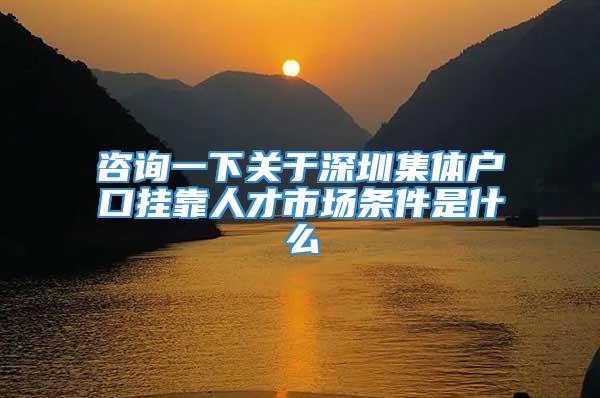 咨询一下关于深圳集体户口挂靠人才市场条件是什么