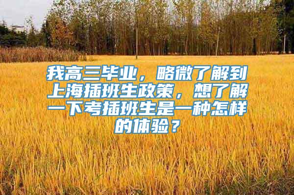 我高三毕业，略微了解到上海插班生政策，想了解一下考插班生是一种怎样的体验？