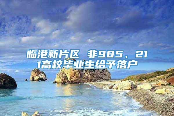 临港新片区 非985、211高校毕业生给予落户