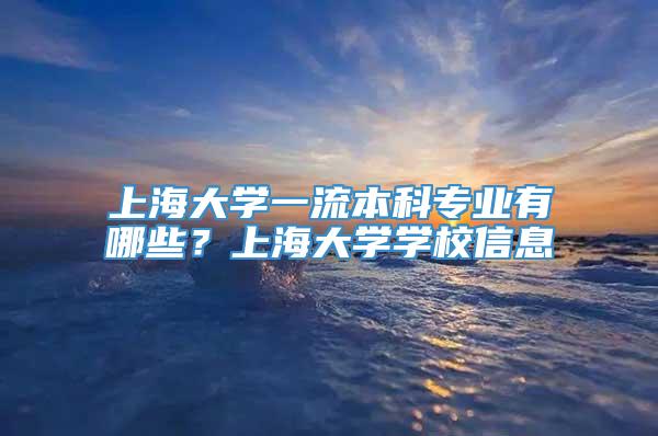 上海大学一流本科专业有哪些？上海大学学校信息