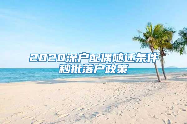 2020深户配偶随迁条件秒批落户政策