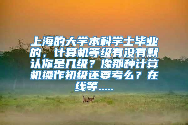 上海的大学本科学士毕业的，计算机等级有没有默认你是几级？像那种计算机操作初级还要考么？在线等.....