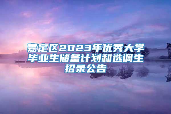 嘉定区2023年优秀大学毕业生储备计划和选调生招录公告