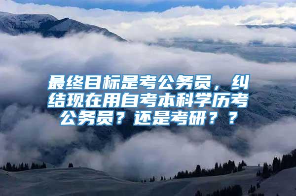 最终目标是考公务员，纠结现在用自考本科学历考公务员？还是考研？？