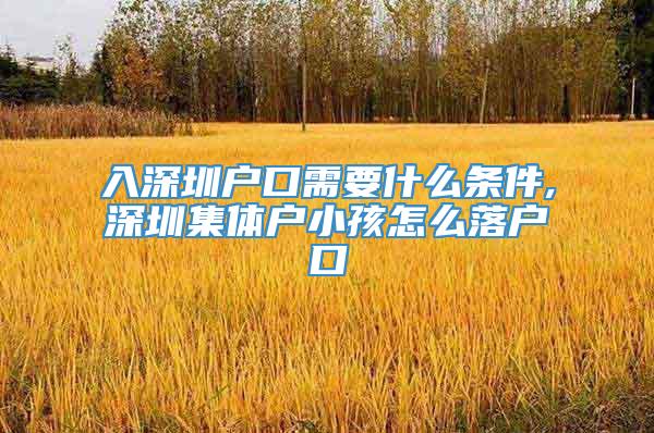 入深圳户口需要什么条件,深圳集体户小孩怎么落户口