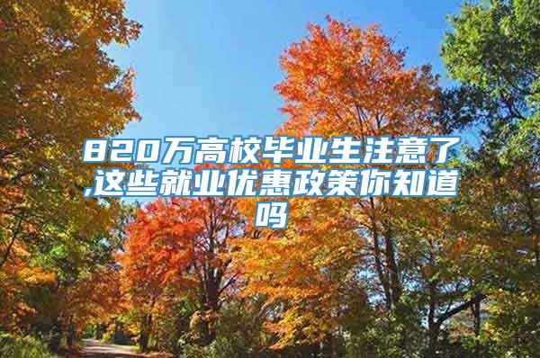 820万高校毕业生注意了,这些就业优惠政策你知道吗