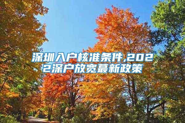 深圳入户核准条件,2022深户放宽蕞新政策