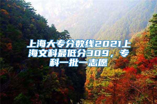 上海大专分数线2021上海文科最低分309，专科一批一志愿