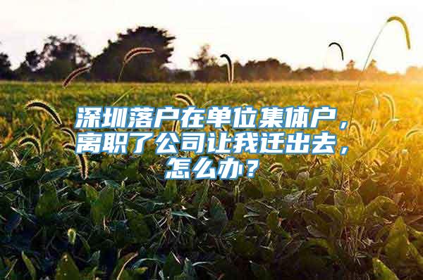 深圳落户在单位集体户，离职了公司让我迁出去，怎么办？