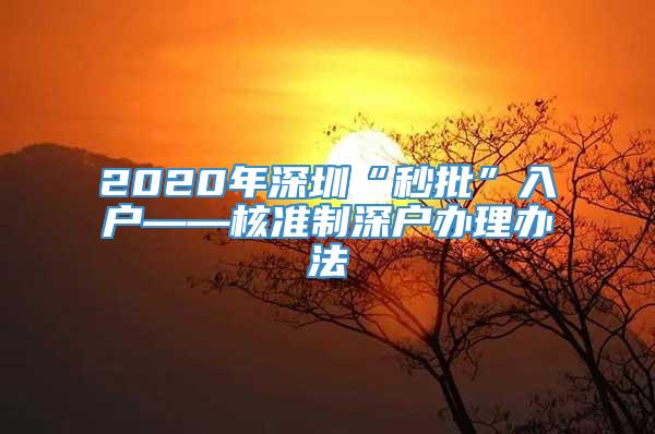 2020年深圳“秒批”入户——核准制深户办理办法