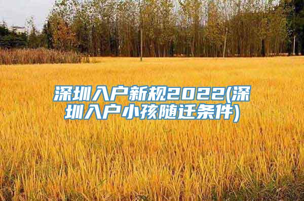 深圳入户新规2022(深圳入户小孩随迁条件)