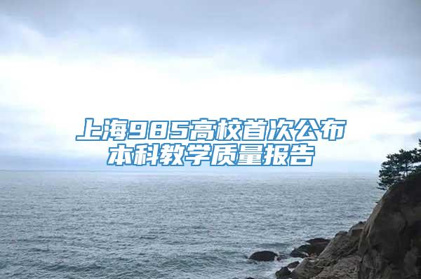 上海985高校首次公布本科教学质量报告