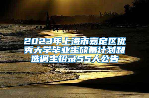 2023年上海市嘉定区优秀大学毕业生储备计划和选调生招录55人公告