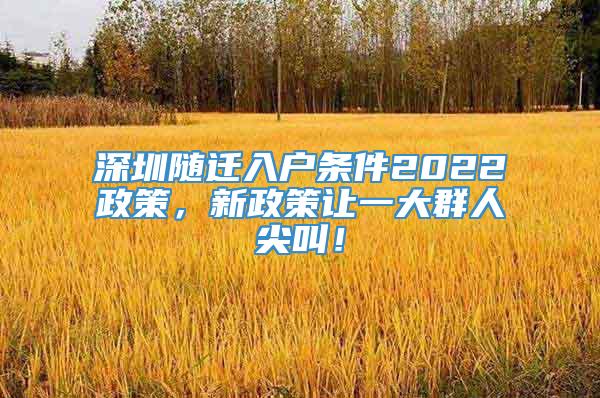 深圳随迁入户条件2022政策，新政策让一大群人尖叫！