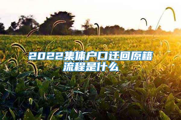 2022集体户口迁回原籍流程是什么